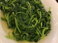 清炒鸡毛菜-上海老饭店(北京分店)