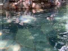 -湖泉半山温泉(湖泉生态园)