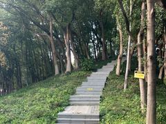 -新洲生态园