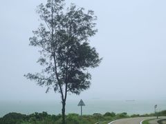 -东澳岛