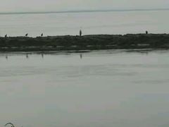 -大港湿地公园