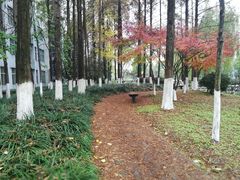 -杭州师范大学(下沙校区)