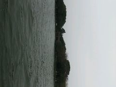 android_upload_pic-西湖外事游船(花港观鱼码头)