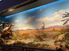 -贝林大翅鲸简餐厅(国家海洋博物馆店)