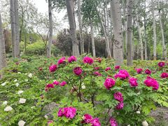 -仁和公园(顺义区)