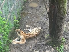 -哈尔滨北方森林动物园