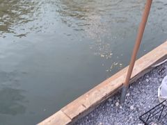 -DGE季风钓虾营地·团建·聚会