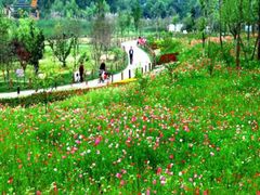 -贵阳市花溪国家城市湿地公园