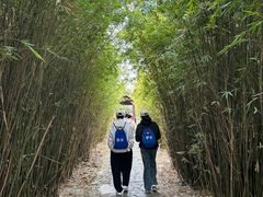 -苏州太湖国家湿地公园