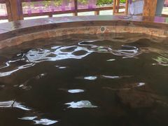 -华山御温泉度假村