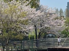 -西湖文化广场