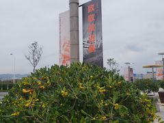 -中国港口博物馆