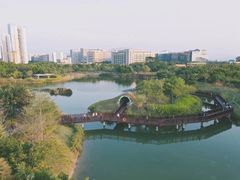 -福田红树林生态公园