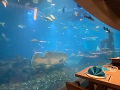 -海棠湾洲际-涛·海底餐厅·美人鱼·自助餐·海底隧道