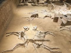 -洛阳周王城天子驾六博物馆