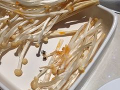 -海底捞火锅(九久奥特莱斯店)