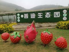 -普迪生态园