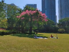 -荔香公园