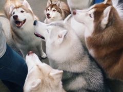 -TrueLove @ Neverland (Husky Cafe)