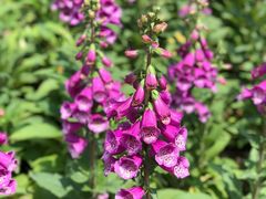 -贵阳市花溪国家城市湿地公园