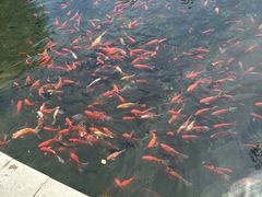 -水磨沟公园