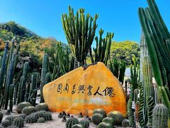 -深圳仙湖植物园