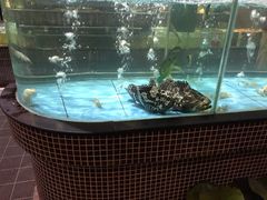 水产区-观澜湖酒店·邀月庭中餐厅