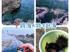 -大长山岛