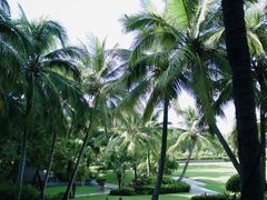 -海南清水湾莱佛士酒店