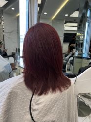-潘多拉Hairsalon