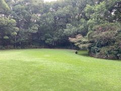 -上海市工艺美术博物馆