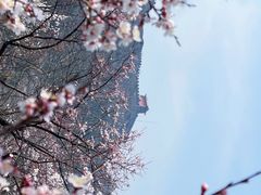 -居庸关长城