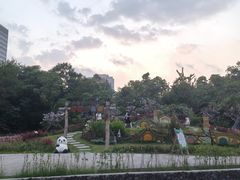 -深圳野生动物园