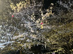 -堤角公园
