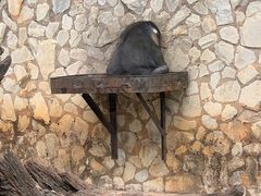 -云南野生动物园