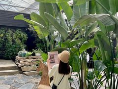 -桉树林A coffee 森林餐厅(三圣乡店)