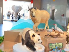 -陕西自然博物馆