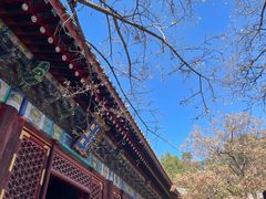 -香山公园