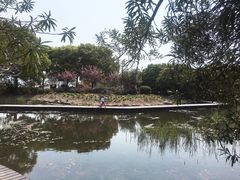 -蠡湖大桥公园
