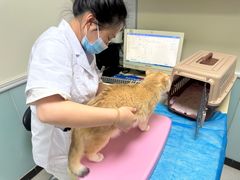 -全心全意连锁动物医院(加州店)