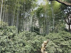 -杭州黄龙洞