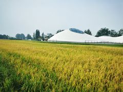 -中国天府农业博览园