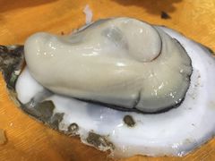 -蚝专家(北滘店)