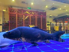 -红红烤鸭店(西单店)