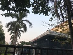 -暨南大学（广州石牌校区）邵逸夫体育馆