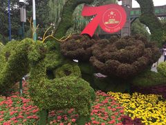 -溱湖国家湿地公园