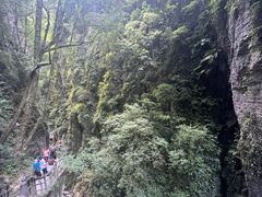 -蝶舞清江·恩施地心谷景区