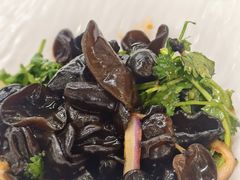 凉拌木耳-渔意楼·驰名沙田乳鸽(五羊店)