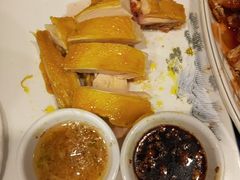 -金龙寨(龙城路店)