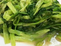-新陶陶酒家